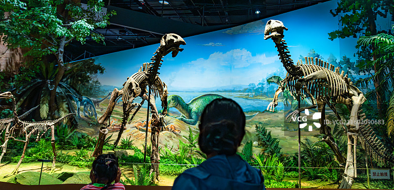 内蒙古博物院 远古世界图片素材