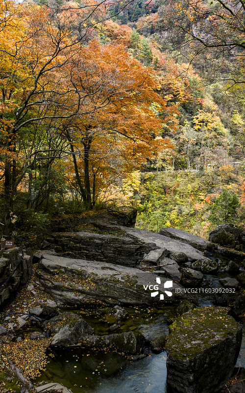 汉中南郑黎坪秋天红叶图片素材