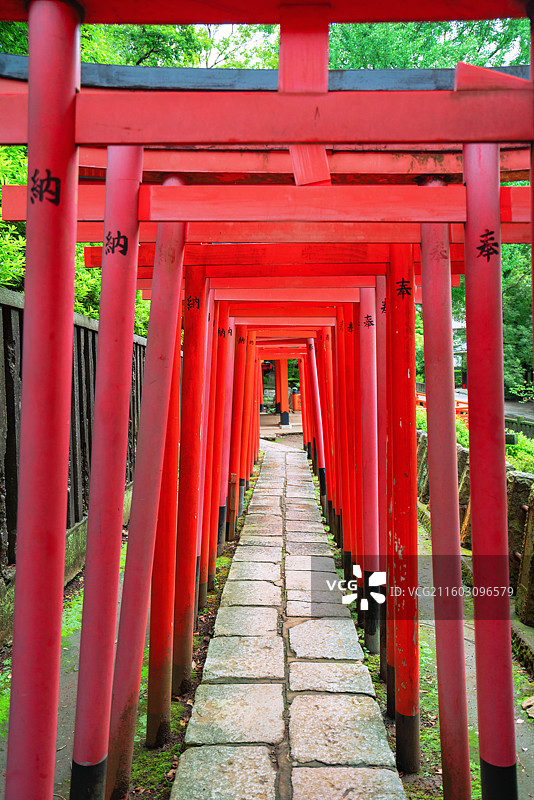 东京都，根津神社图片素材
