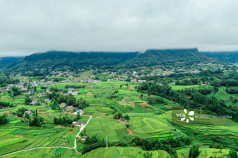 湖北省恩施州鹤峰县走马镇木耳山茶园图片素材