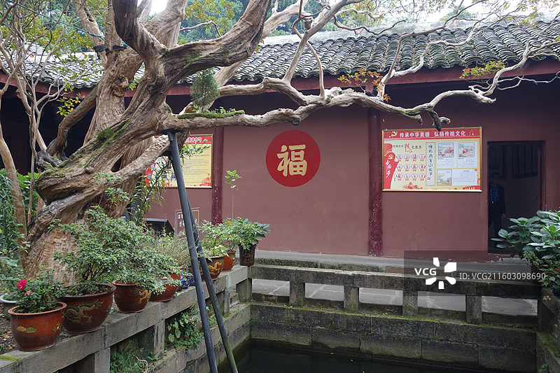 四川省广元市剑阁县剑门关景区：梁山寺紫薇古树图片素材