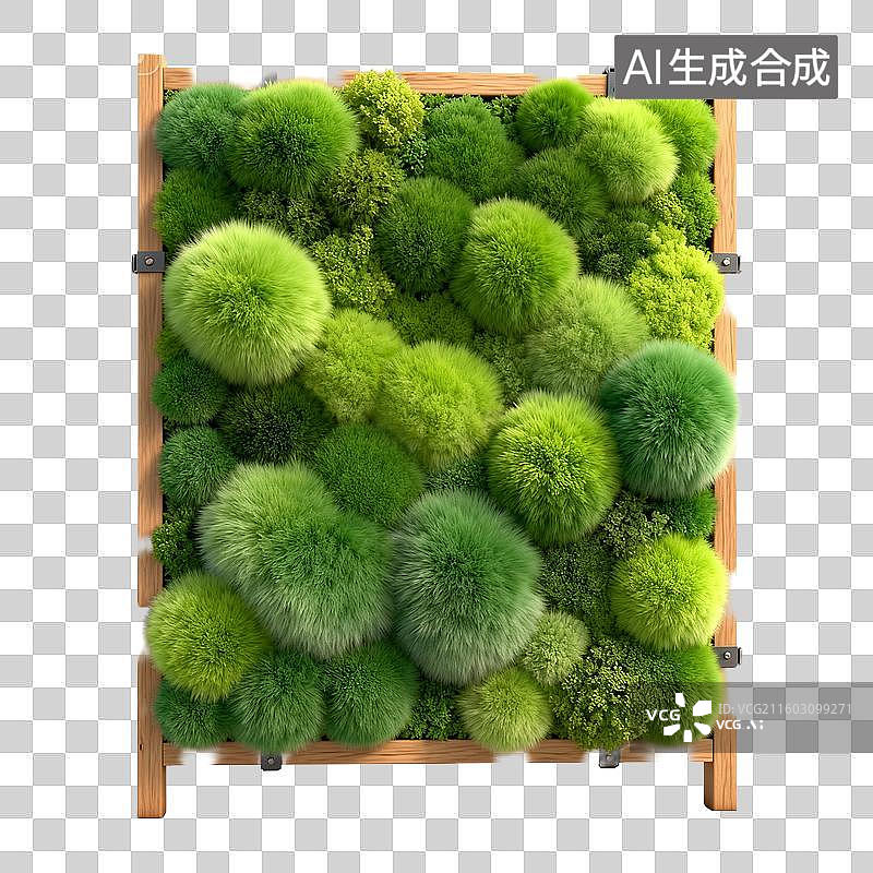 【AI数字艺术】垂直绿墙植物装饰图片素材