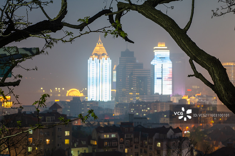 山东青岛观象山夜色中城市高楼与树枝景观图片素材