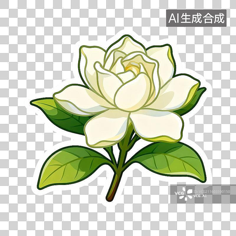 【AI数字艺术】白色栀子花插画图片素材