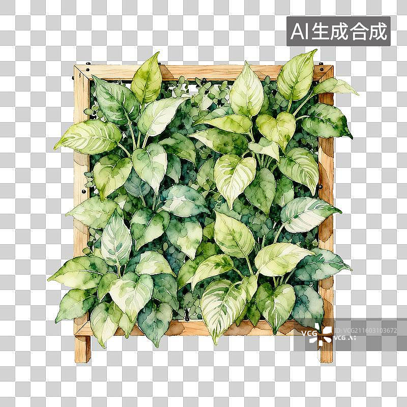 【AI数字艺术】木质框架中的绿叶植物水彩画图片素材
