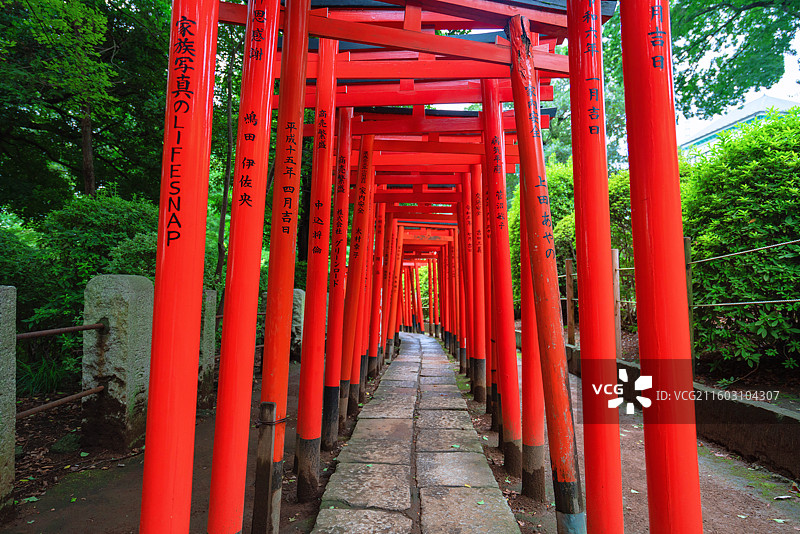 东京都，根津神社图片素材
