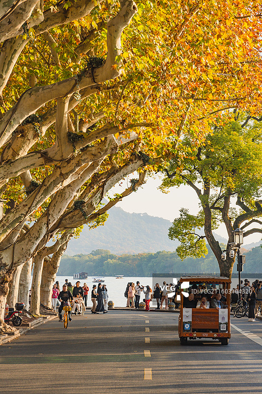 秋日西湖图片素材