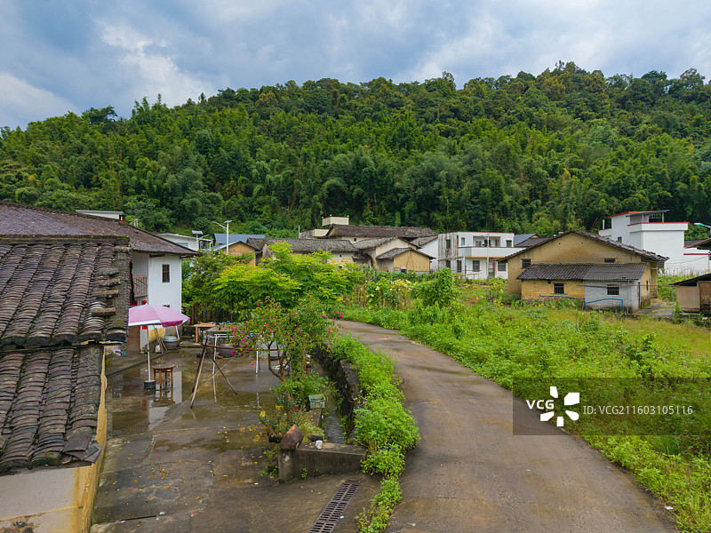 广东省惠州市龙门县，下底围，天堂山水库，生命之树，航拍自然风光！图片素材