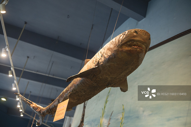 广州文化公园水产馆图片素材