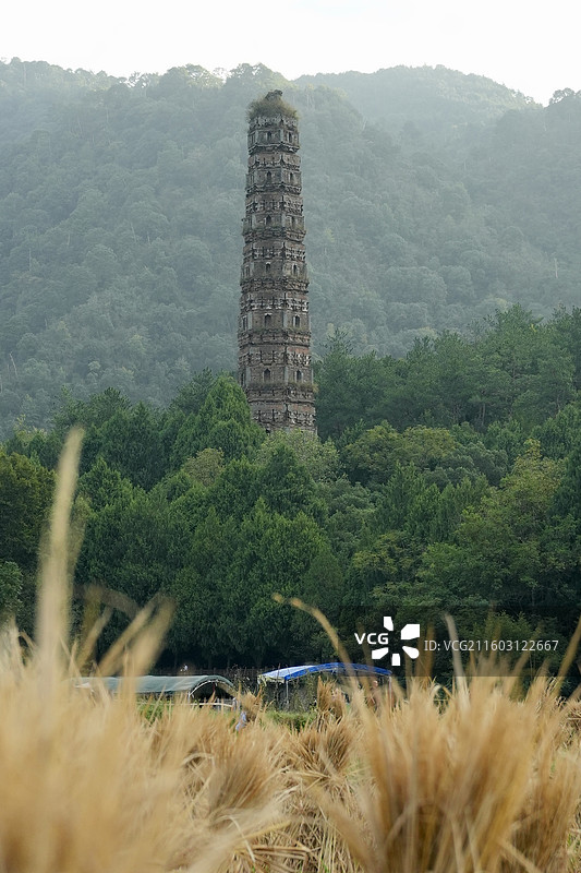 台州国清寺隋塔图片素材