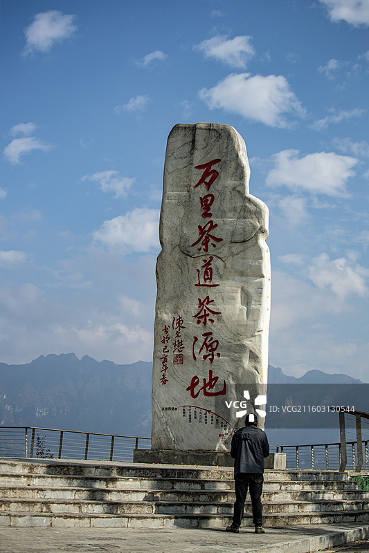 鹤峰木耳山：中国最美茶园图片素材