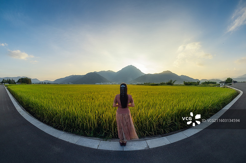 日落时站在农田上的女人的后视图图片素材