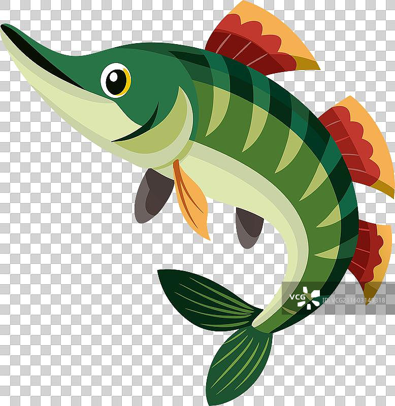 链鲹鱼可爱地跳舞图片素材