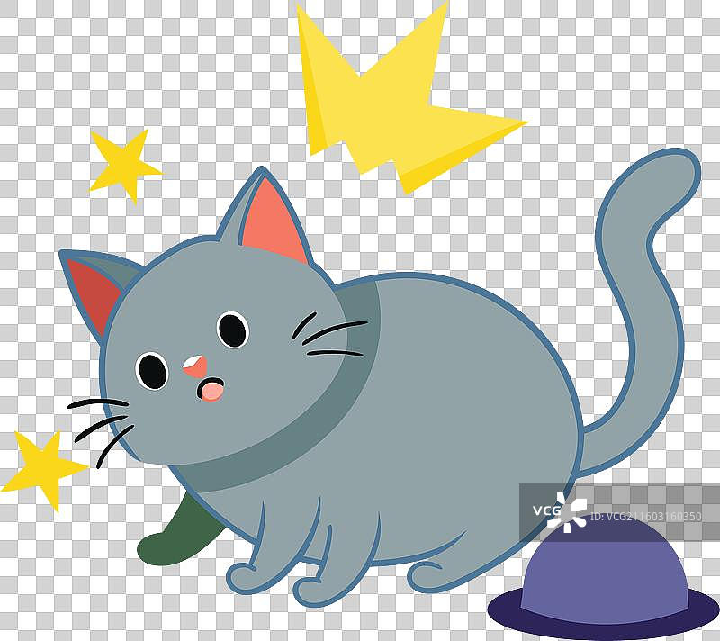 可爱的蓝猫图片素材