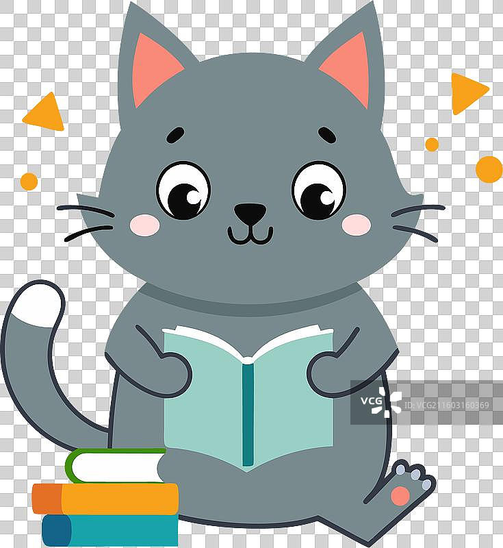 卡尔特修猫学习卡哇伊图片素材