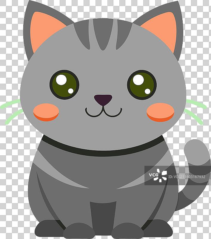 可爱的蓝猫玩耍图片素材