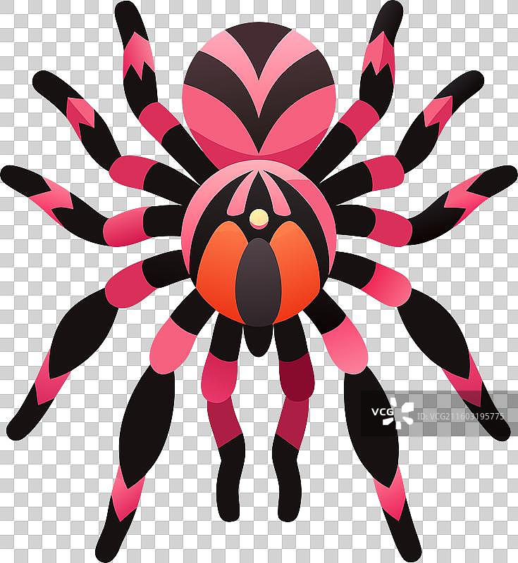 智利玫瑰狼蛛正在阅读可爱风图片素材