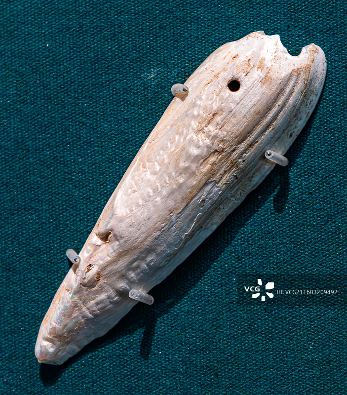 内蒙古博物院 骨器图片素材