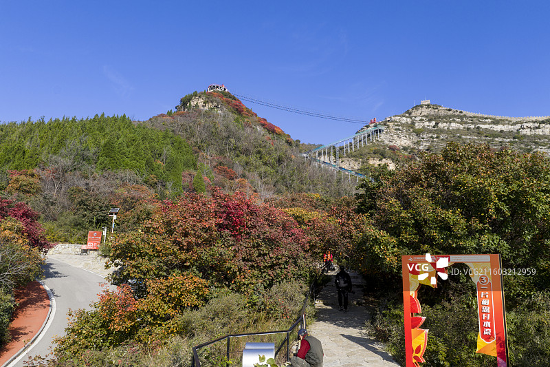 博山红叶柿岩秋色正浓图片素材