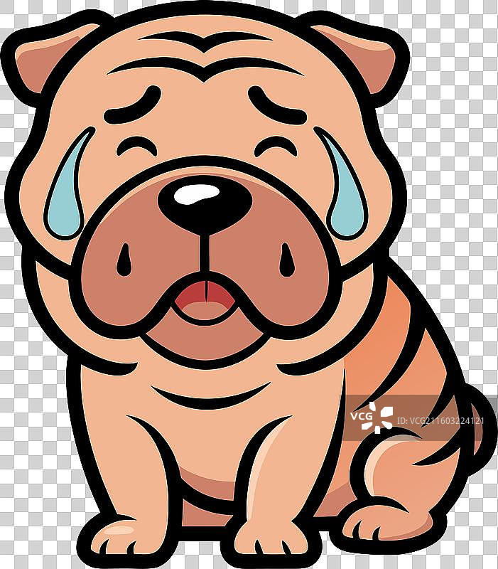 可爱的中国沙皮狗在哭泣图片素材