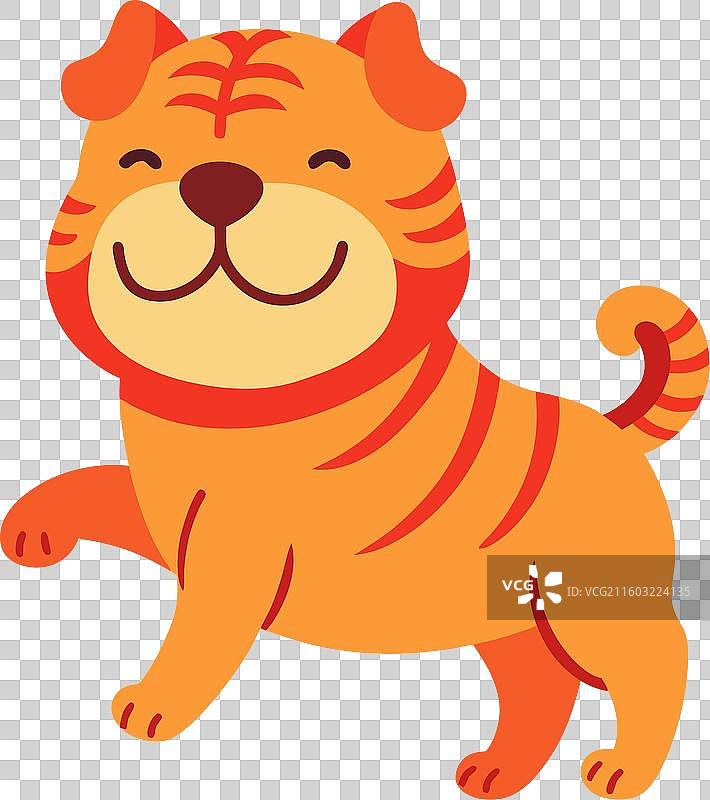 中国沙皮狗可爱地跳舞图片素材