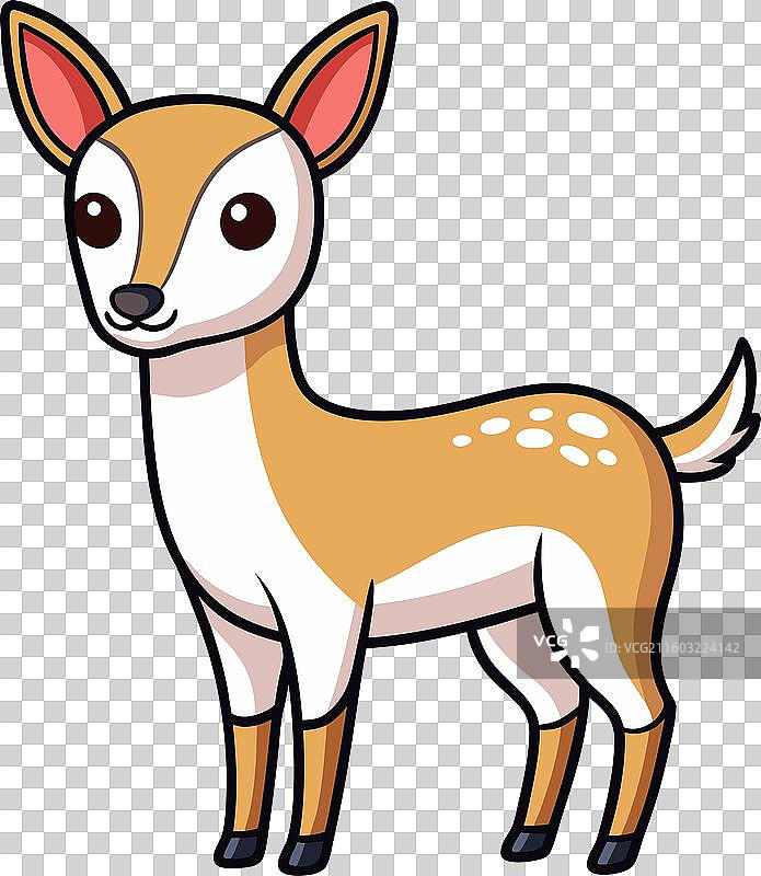 中国水鹿，可爱图片素材