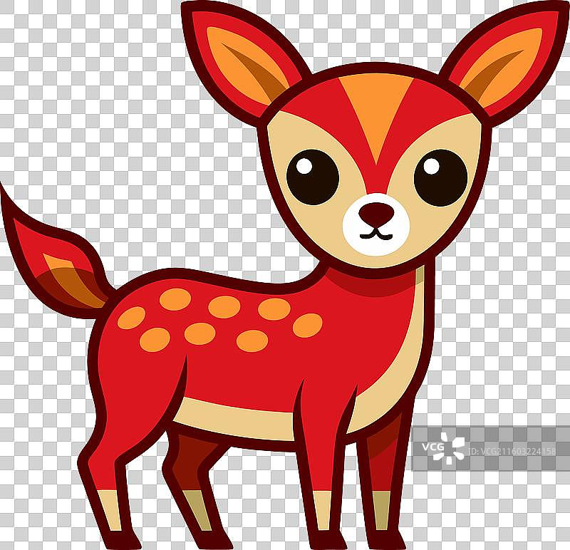 中国水鹿看起来很可爱图片素材