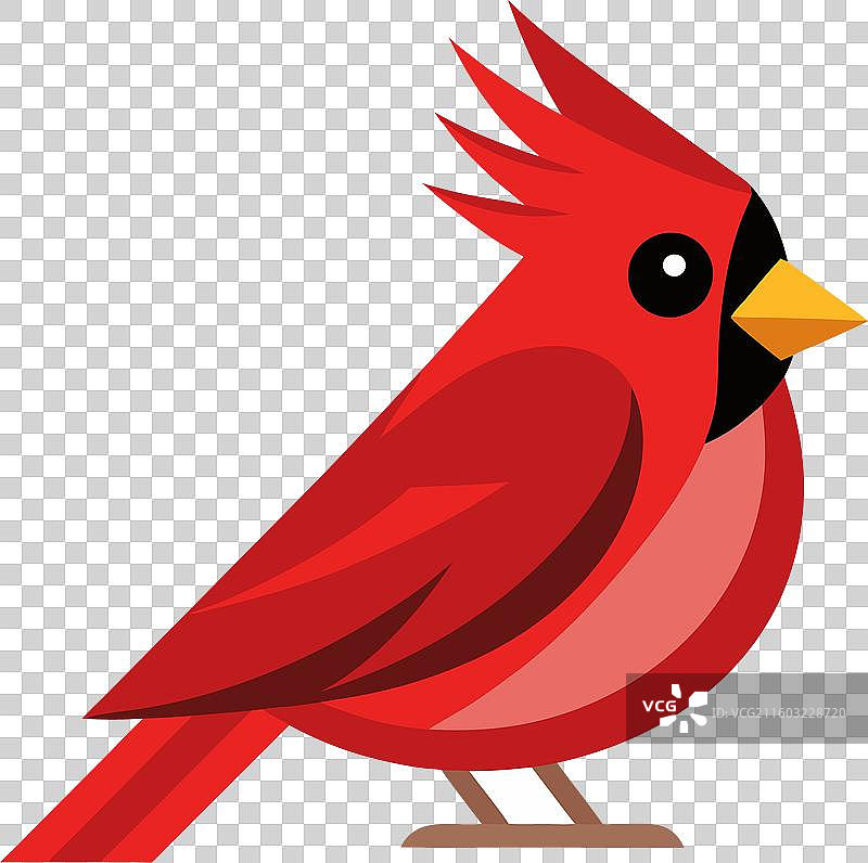 可爱 the chinstrap penguin flies图片素材