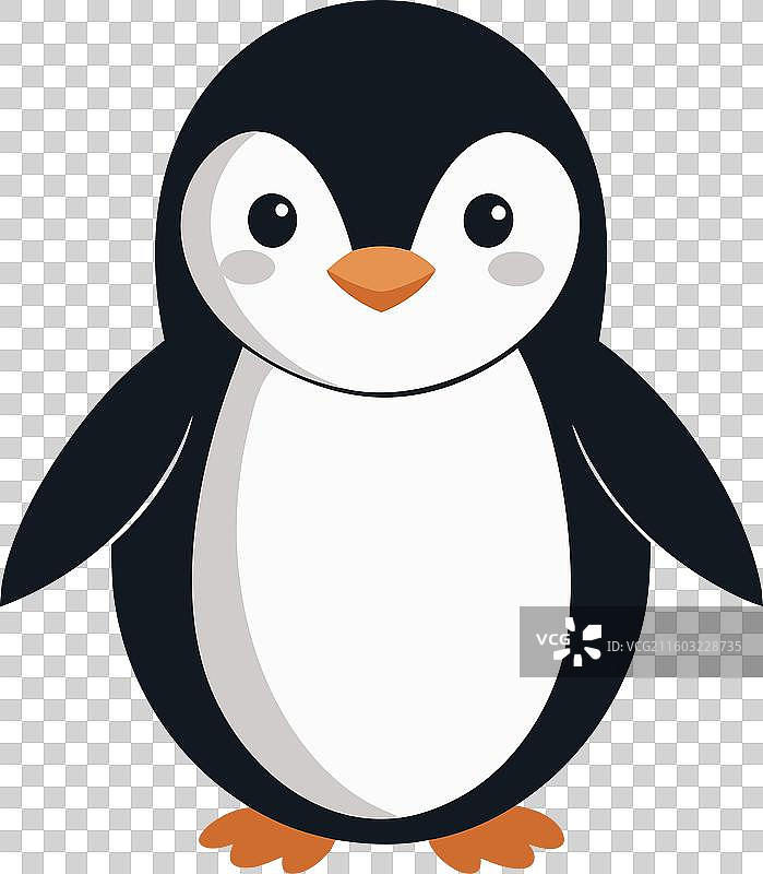 帆布带企鹅学习可爱图片素材