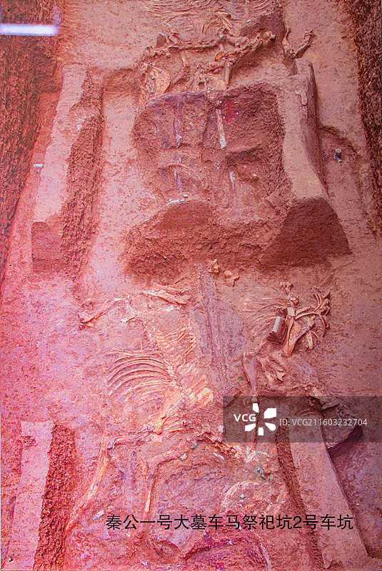 凤翔区博物馆 国家三级博物馆图片素材