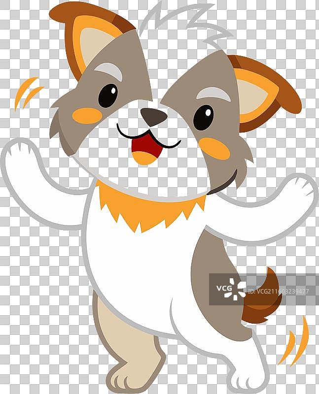 正在为吉娃娃犬拍照的麻雀图片素材