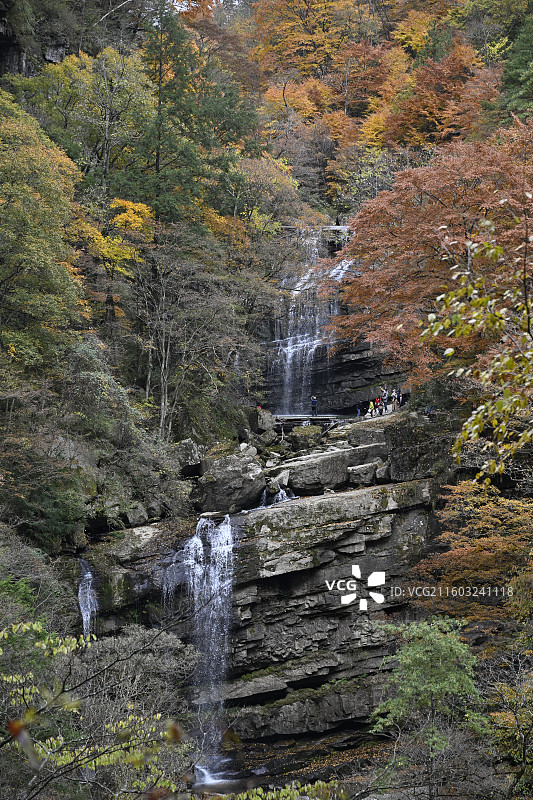 黎坪国家森林公园图片素材