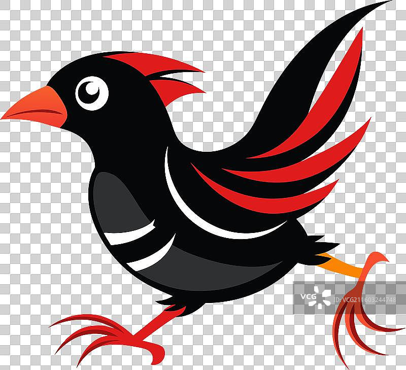 可爱的高山鸦奔跑鸟图片素材