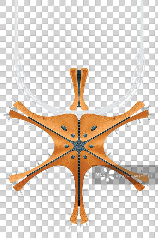 北京大兴国际机场航站楼图片素材