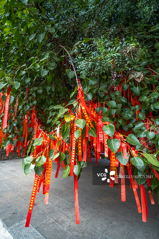 临沧双江县景亢傣族民族民俗风情村的许愿树图片素材