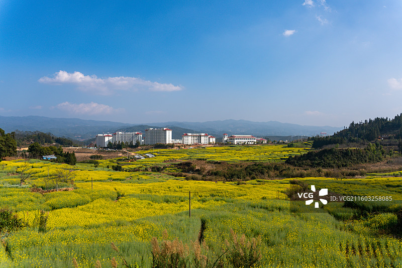 临沧临翔博尚镇碗窑村博尚碗窑七彩陶瓷文化景区油菜花田图片素材