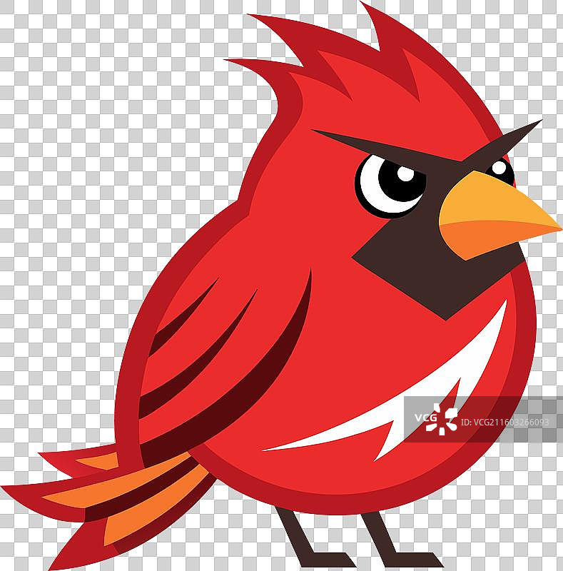 卡氏鸊鷉，可爱风格图片素材