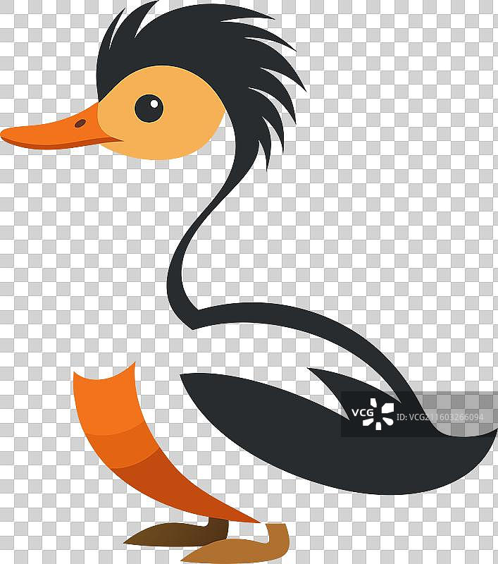 卡氏鸊鷉，可爱图片素材