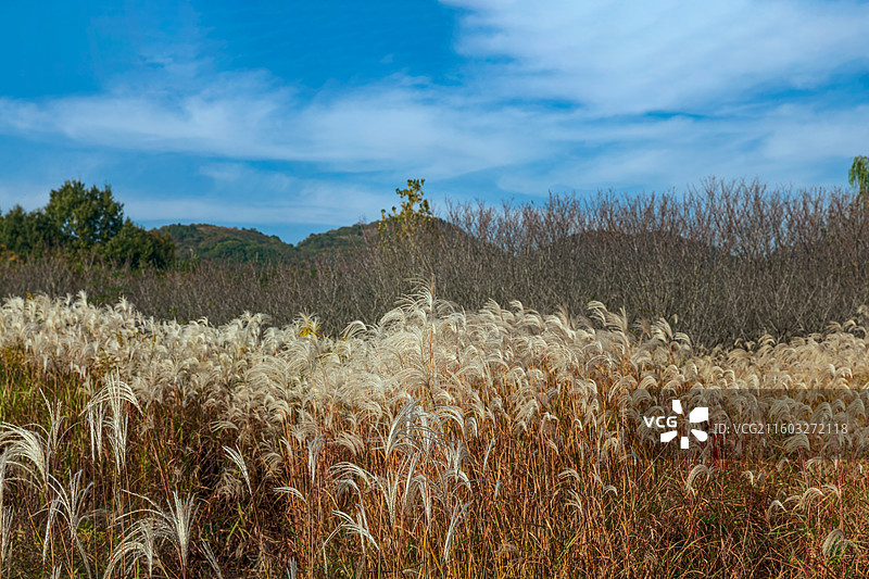 南京佘村采石场图片素材