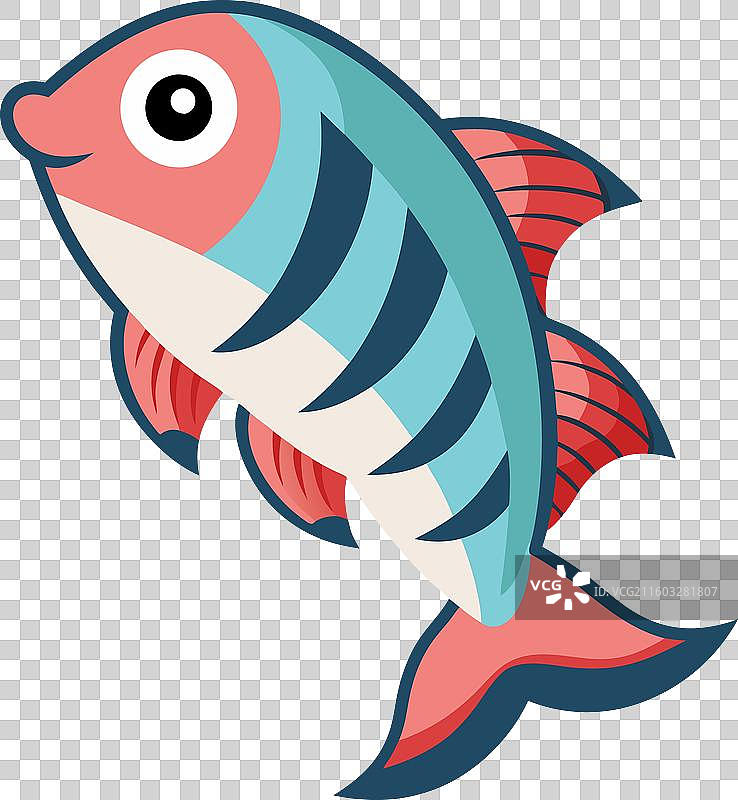 攀鲈鱼露出可爱的笑容图片素材