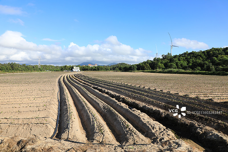汕尾风车岛图片素材