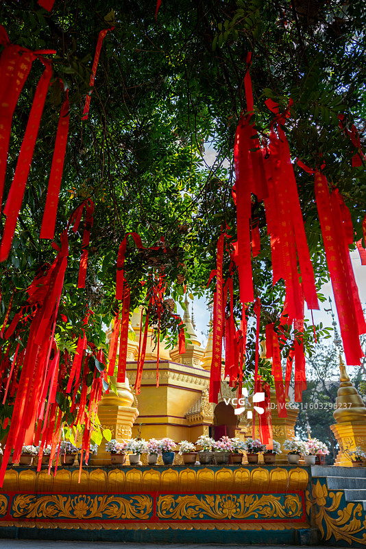 临沧双江县景亢傣族民族民俗风情村的许愿树图片素材