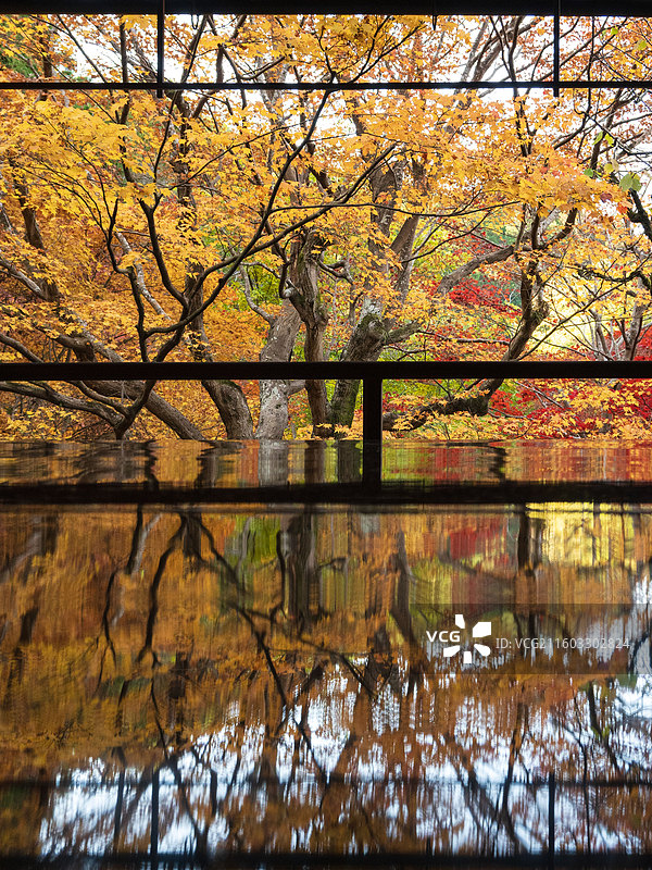京都琉璃光院红叶图片素材