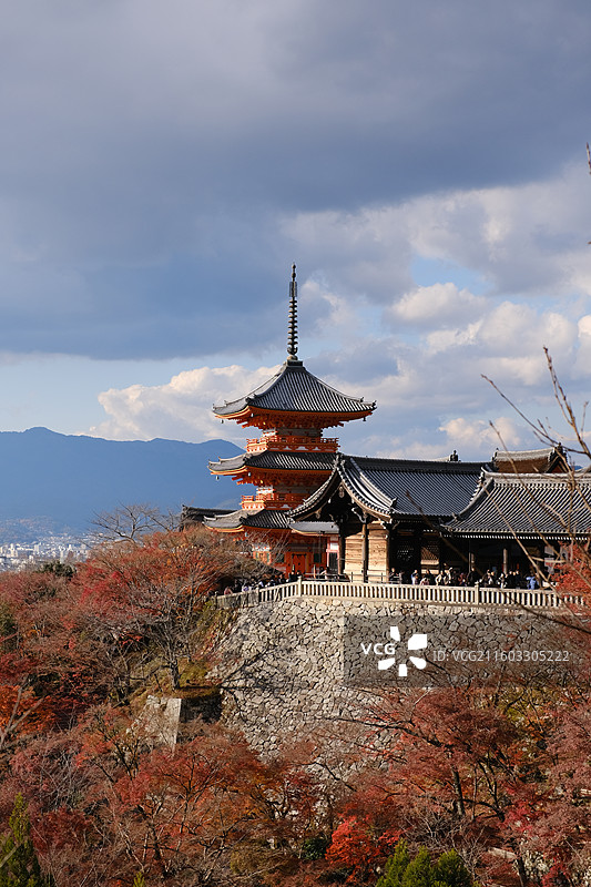 红叶季的日本京都清水寺图片素材