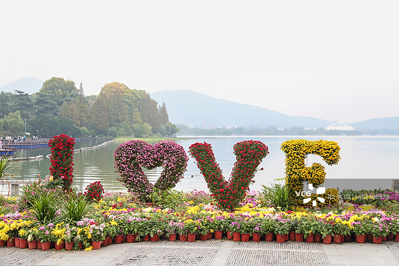 秋天玄武湖公园的菊花造型园艺图片素材