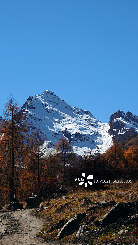 川西小金银厂沟雪山海子彩林秋景图片素材