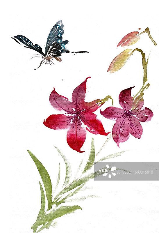 麝香百合与蝴蝶图片素材