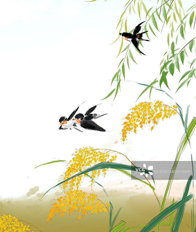 中国文化 水墨 艺术 插图 农业 农村 水稻 粮食 收获 丰收图片素材