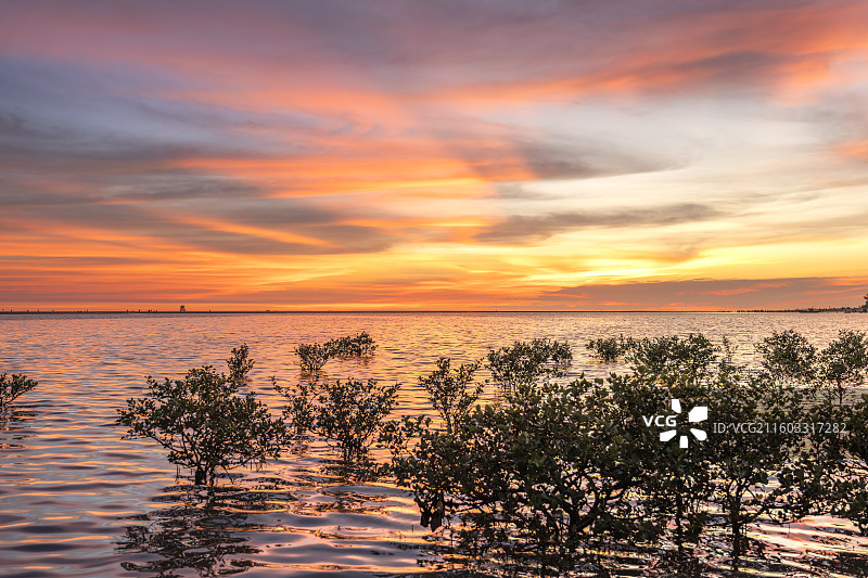 北海银滩红树林风光：晚霞映水，静谧海岸图片素材