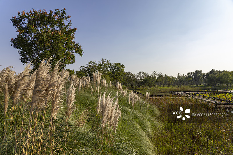 安徽省阜阳市颍州西湖摄影图片图片素材